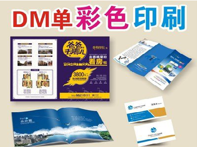 坡头单页印刷,色彩搭配简单。